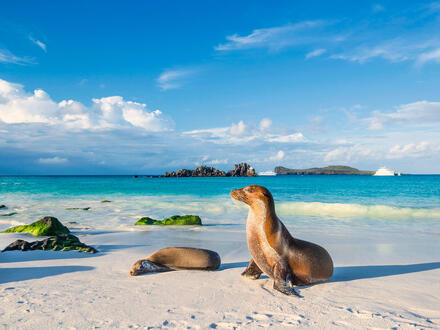 13 Tage Rundreisen Ecuador und Galápagos-Inseln - Naturwunder hautnah erleben Frühstück Unkategorisiert online kaufen