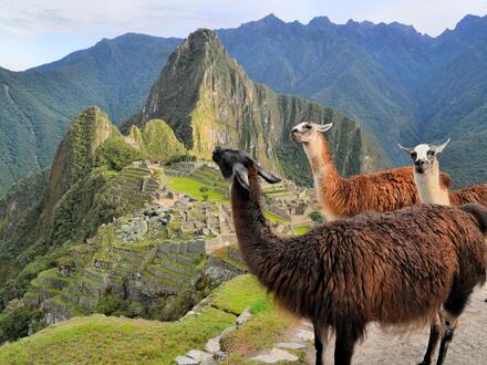 19 Tage Rundreisen Peru, Bolivien, Chile, Argentinien und Brasilien - Zwischen Gipfeln, Regenwald und Wasserfällen unterwegs Unkategorisiert online kaufen