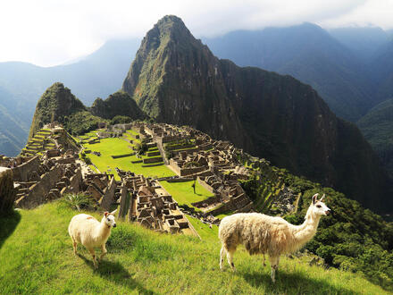 38 Tage Kreuzfahrten Südamerika und Antarktis - Peru-Rundreise mit Kreuzfahrt mit Oosterdam ab Santiago de Chile an Buenos Aires und Brasilien-Rundreise All Inclusive Unkategorisiert online kaufen