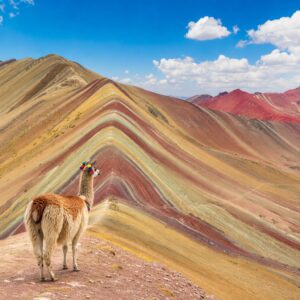 19 Tage Rundreisen Peru, Bolivien, Chile, Argentinien und Brasilien - Unvergessliche Momente zwischen Inkastätten und Tropen Unkategorisiert online kaufen